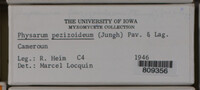 Image Associated With the Occurence